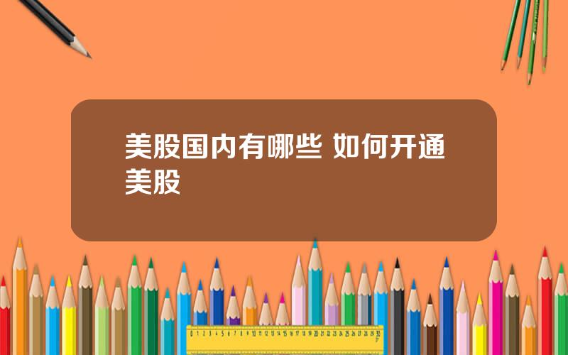 美股国内有哪些 如何开通美股